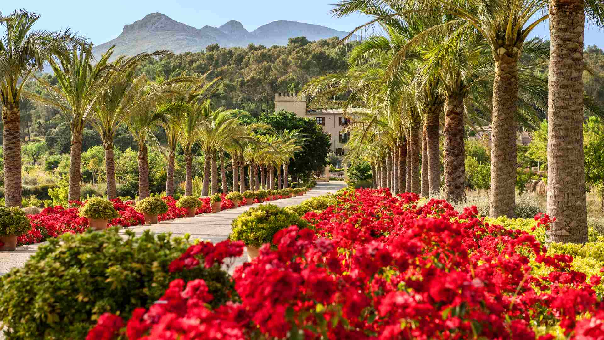 Spanien Mallorca Castell Son Claret Driveway