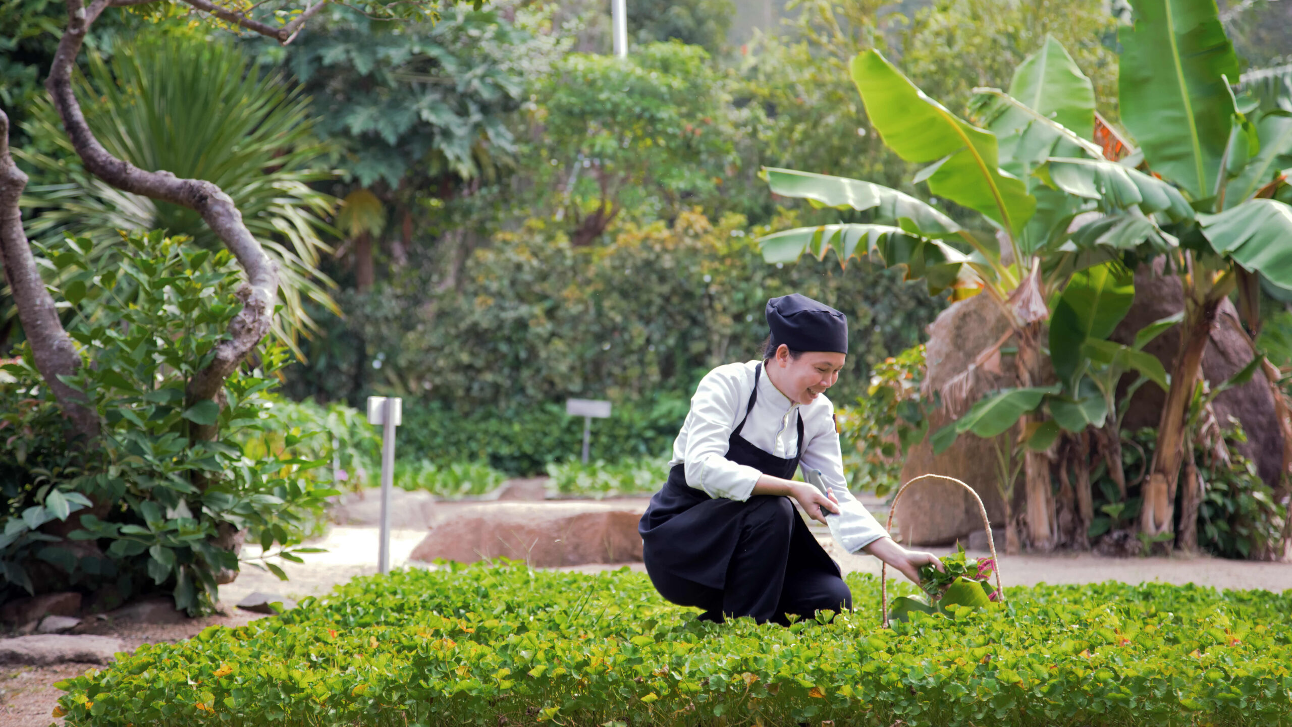 Vietnam Nha Trang Six Senses Køkkenhave