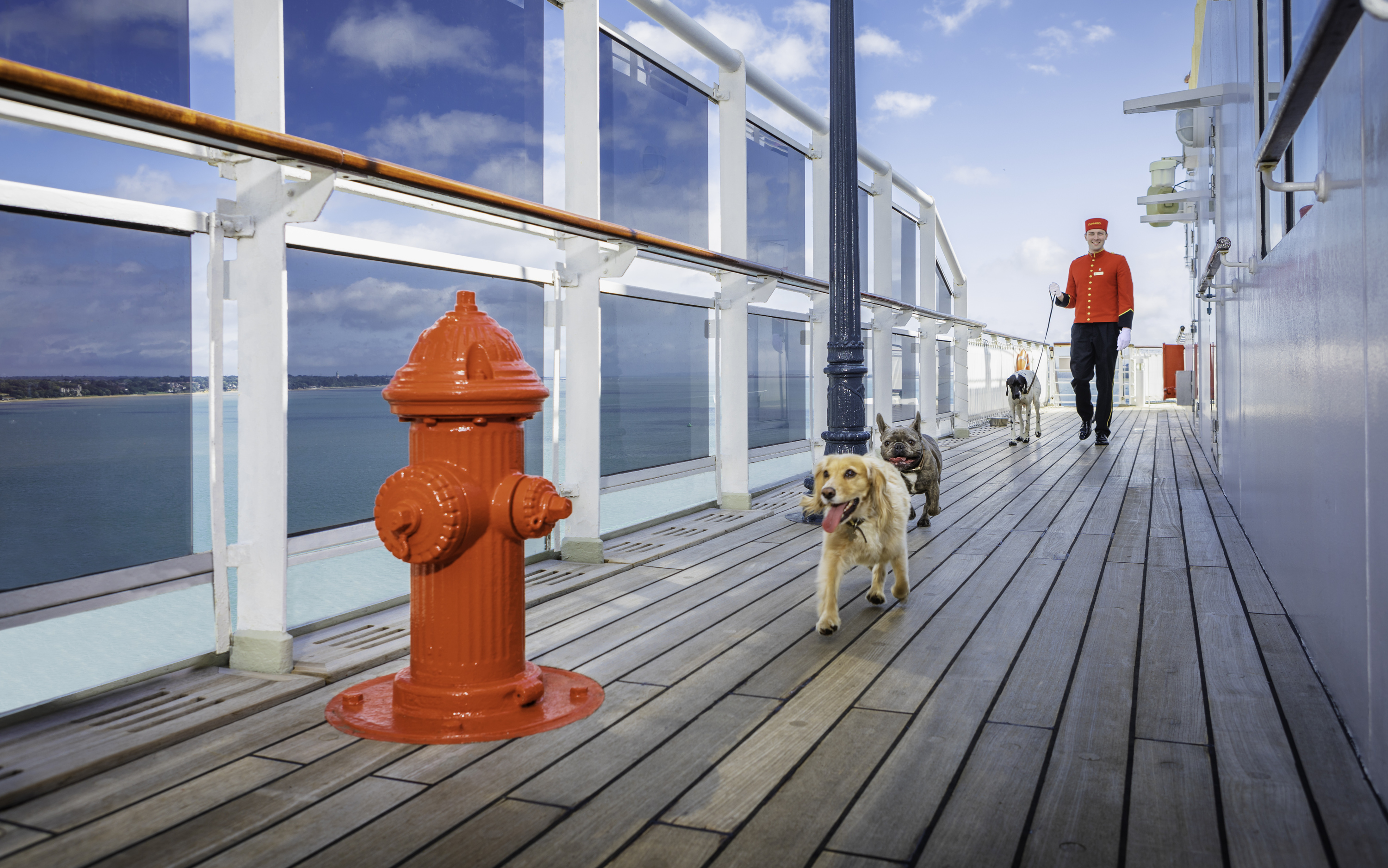 cunard kennels scaled