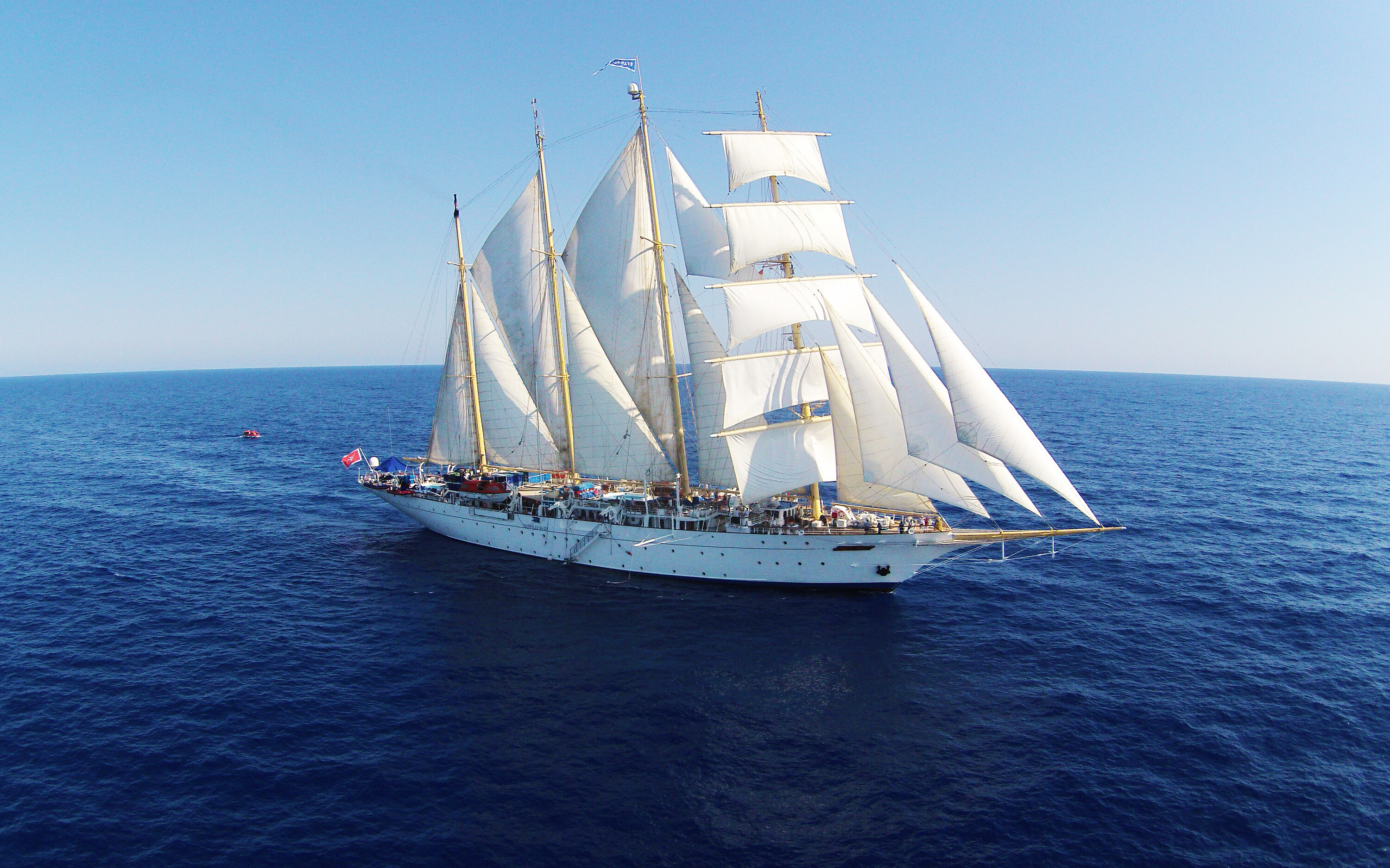 ship new